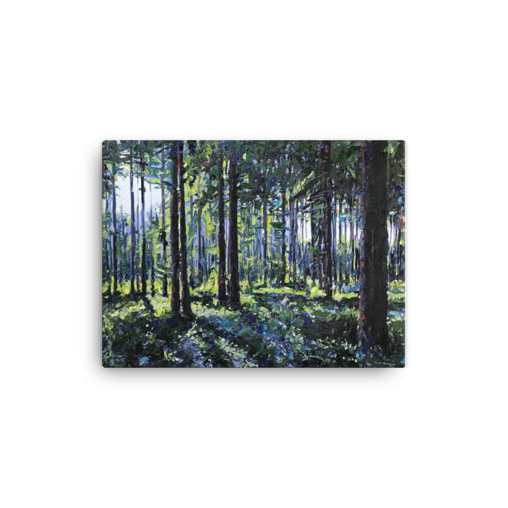 'Nantahala National Forest. NC' -2020