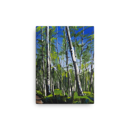 'Spring Aspens. Telluride, CO' -2018
